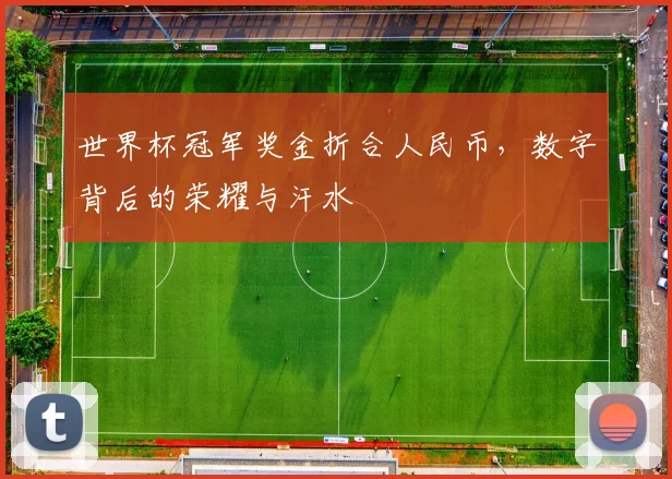 世界杯冠军奖金折合人民币,数字背后的荣耀与汗水