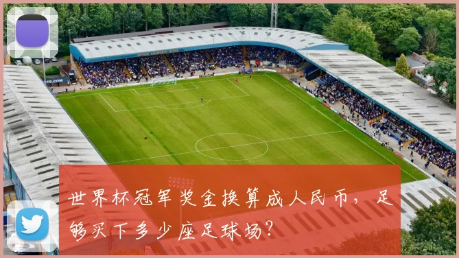 世界杯冠军奖金换算成人民币,足够买下多少座足球场?