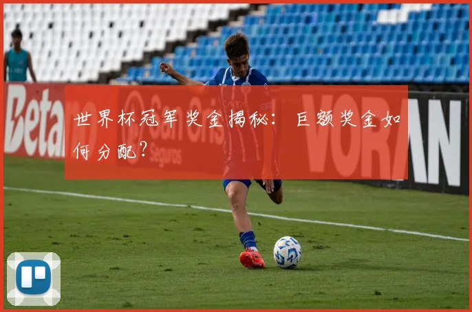 世界杯冠军奖金揭秘:巨额奖金如何分配?