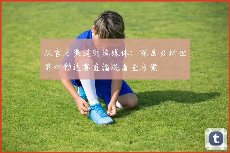从官方渠道到流媒体：深度分析世界杯预选赛直播观看全方案