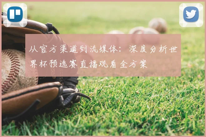 从官方渠道到流媒体：深度分析世界杯预选赛直播观看全方案
