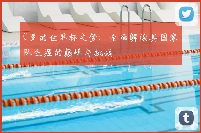 C罗的世界杯之梦:全面解读其国家队生涯的巅峰与挑战